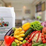 keolaproducts prime selections keolaproducts prime selections